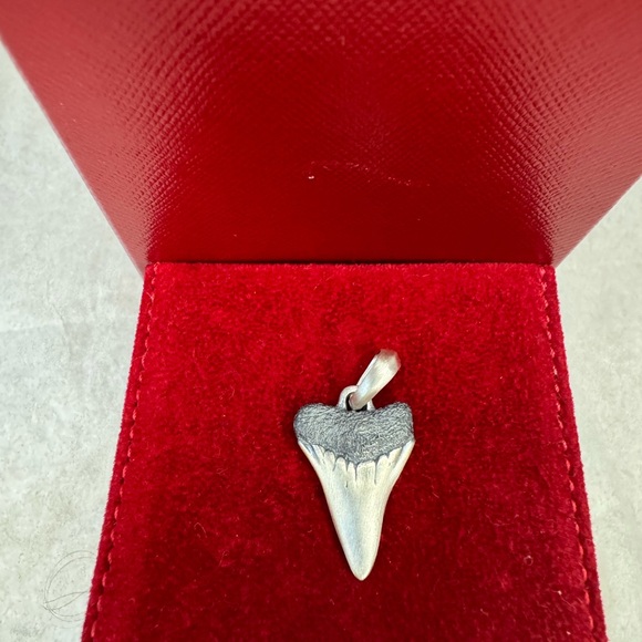 David Yurman Shark Tooth Amulet Sterling Silver Men's